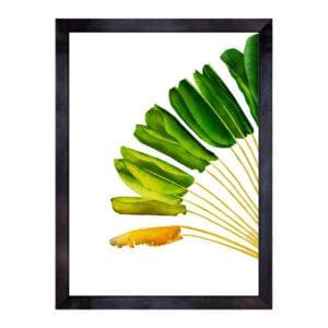 RAV-TRA-ART-2 Ravenala 2 Travellers Palm Wall Art