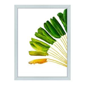RAV-TRA-ART-2 Ravenala 2 Travellers Palm Wall Art