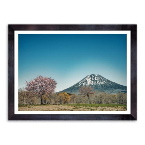 YOT-CHE-PHO-1 Mount Yotei and Cherry Blossom Photo Art