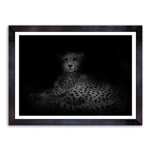 CHE-RESBW-PHO-1 Cheetah Resting Photo Art